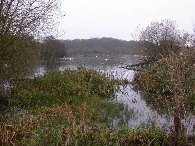 Stokers Lake Nature reserve
